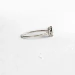 950 Platinum Lab Diamond Closed Basket Anniversary Ring