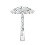 950 Platinum 3.94 Ct Oval Moissanite Diamond Double Halo Engagement Ring - Image 3