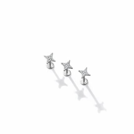 Four Point Star Round Brilliant Cut 0.20 CT Diamond Stud Earrings in 950 Platinum with Prong Setting